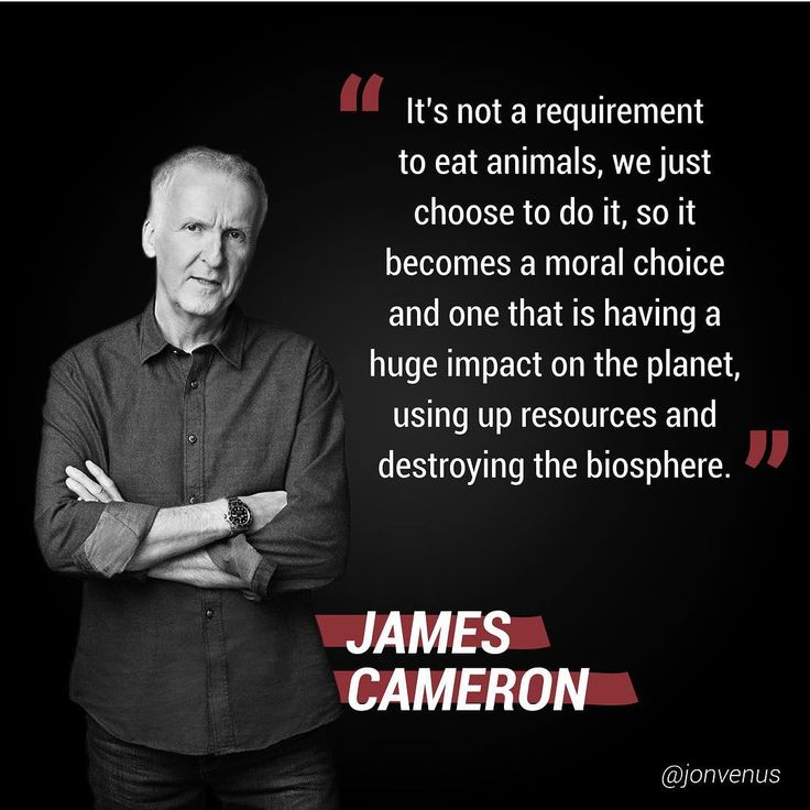 SavetheAnimals