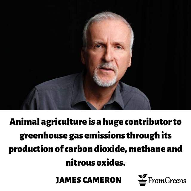 SavetheAnimals