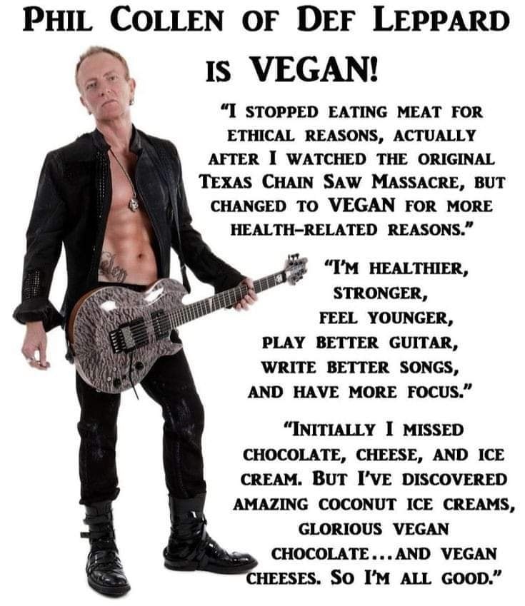 VeganHealth